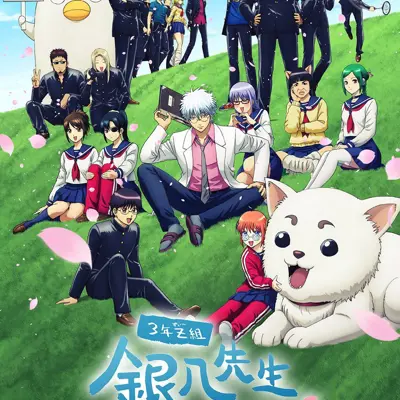 3年Z班银八老师